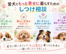 愛犬の困った行動・しつけの相談に乗ります 400頭以上見てきたプロが原因から一緒に考えます イメージ4