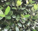 お話し相手になります お客様に寄り添ってお話しをただただお聞きします。 イメージ9