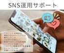 SNS立ち上げ～運用まで全般の相談に乗ります 個人〜大手まで運用歴5年の私が痒い所に手が届くサポートを！ イメージ1