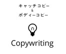 キャッチコピー10案（解説付き）提案します 様々な角度からコピーを書きます イメージ2