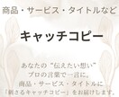 伝わるキャッチコピーをご提案します 読まれる言葉・売れる言葉を構成からご提案！ イメージ1