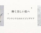 Canva素敵なチラシ作ります お忙しくて手が回らないという方お手伝いします！ イメージ2