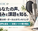 声質と歌い方を分析し、練習の課題をお伝えします 声の強み・改善点・練習方法を、読み返せるシートに イメージ1