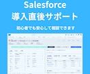 Salesforce導入直後の不安を解消します 初回限定2000円でサポートします イメージ1