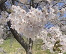 1分からでもOK～♬あなたのお話しお聞きします 今すぐ話したいお悩みや愚痴何でもお話下さい✩.*˚ イメージ3