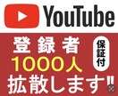 YouTubeチャンネル登録者1000人増やします YouTube収益化☆最安値挑戦☆30日間の減少保証 イメージ1