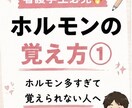 看護学生向けホルモンを覚えられる資料を作成します 解剖生理が苦手な方へ！分泌部位や作用、覚え方をまとめます イメージ2