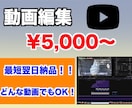 YouTube風動画編集します カット・テロップ・効果音などを挿入し最短即日納品します！ イメージ1
