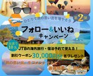 SNSでのPRや宣伝などのデザイン制作致します 【大人な一人旅に行こう！！】をテーマに作成 イメージ2