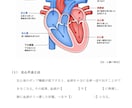 看護教員向け：講義資料などの作成代行します 臨床経験７年＋看護教員歴８年　授業準備を効率化したい方へ イメージ3