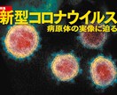 新型コロナウィルス発、人口削減計画が始まっています 未承認・遺伝子組換ワクチンをゴリ押しする政府とメディアの狂気 イメージ2