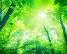 看護師歴25年の現役ナースがどんな話もお聴きします 誰にも言えないっ！って事でも、遠慮なくどうぞ(*^-^*) イメージ3