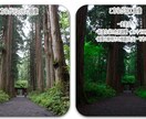 写真の修整・加工・合成致します 加工・合成の施工歴9年のぶれない施術 イメージ7