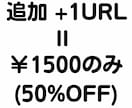 最新☆厳選95本ミックス被リンクでSEO対策します ５０％OFF☆追加２件目URLは半額１５００円のみでご提供！ イメージ2