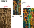 SNSやブログで使う写真の画像修正承ります 現役Webデザイナー兼レタッチャー、兼ブロガーが作業します。 イメージ6