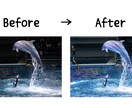 なんでも写真撮影します ノイズだらけの夜は卒業。闇を『ドラマチックな光』に変えます イメージ3
