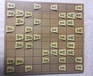 将棋・囲碁・チェス・オセロ学んでみたい人指導します ルールを覚えるところから始めたい人、初心者・初級者向けです！ イメージ1