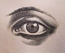億トレーダーだけが見ている目線を伝授します プロはラインもオシレーターも一切使わない 。 イメージ2
