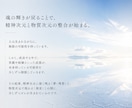 夢や理想を叶えられるあなたにします 「魂の輝き＝可能性」を引き出し理想に近付くOSヒーリング。 イメージ2