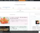 WordPressを高速化！サイトを快適にします 【個人・初心者大歓迎】表示速度改善・サイトヘルス修正を代行 イメージ2