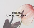 文章を自然で読みやすく整えます SNS・プロフィール文対応可能です イメージ1