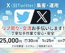 X認知拡大！手動リプ運用代行いたします ★BOT不使用！完全手動で自然に認知拡大★ イメージ1