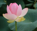 誰でも歓迎☆丁寧にあなたのお話をお聴きします 雑談／無駄話／おしゃべり／傾聴／学生／社会人どんなことでも イメージ5