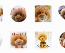 LINEスタンプ作成します 大切な家族やイベントのLINEスタンプはいかがですか？ イメージ1
