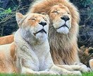 1コイン★あなたのお話なんでもお聞きします 家族、彼氏、友達みたいに寄り添ってお話ししませんか? イメージ4