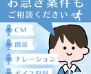 ナレーション・ボイス制作承ります 2日納品、12時間以内のご返信、2回までの無償リテイク イメージ1