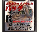 超分かる✅バッグコーナーの見方の全てを解説します ✅初心者必見✅～見方一つで自由な時間を手に～ イメージ1