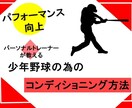 野球のパフォーマンスアップのケア方法を教えます どんなに上手くても身体の柔軟さがないと故障のもと イメージ1