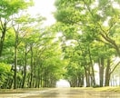 サンプルボイスあり☀️仕事のお悩みを優しく聴きます ⭕人間関係⭕転職⭕生きがい⭕モチベーション⭕いじめ・嫌がらせ イメージ17