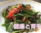 育毛の基本がわかります 育毛剤使ってるのに不安がつのる…。というあなたへ イメージ1