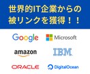 大手IT企業のドメインに被リンクを設置します Google・Microsoft・Amazonなどが対象 イメージ1
