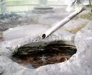 風景、物、動物などの加工します オシャレに、目を引くような加工をします。 イメージ8