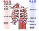 医療関係のイラストを作成します 講習会や教科書、テキストやポスターなどに使用頂けます。 イメージ5
