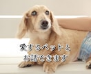 愛するペットとお話できます 愛するペットと文通してみましょう イメージ1