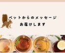 ペットからのメッセージをお届けします 複数質問したい、ニュアンスもしっかり感じ取りたい方にお勧め イメージ1