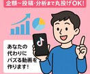 TikTok運用代行｜企画〜投稿・分析までします バズを狙える動画企画／ショート動画が得意な運用者がサポート！ イメージ1