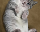 あなたのペットのかわいいイラスト描きます ペットや好きな動物をSNSアイコンやプレゼント用に！ イメージ3