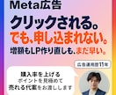 Meta広告、購入率が低い理由を見つけて改善します 広告が悪いのかLPが悪いのか。判定と書き換え文まで渡します！ イメージ1