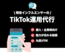 プロがTikTok運用代行します SNS運用｜TikTok｜運用代行｜集客｜動画編集｜分析 イメージ1