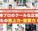 プロのデザイナーがA4広告9000円で作成します 片面カラー広告、両面でさらにお得!プロの仕上がり営業の販促物 イメージ1