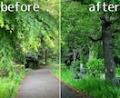 冴えない写真を、ちょうどよくレタッチします 明るさや色味を整えて、写真本来の魅力を引き出します｡ イメージ2