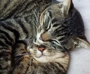 タロット占い→【リアルタイム】電話で鑑定します ★現在過去未来★知りたいこと納得いくまでお付き合いします イメージ1