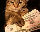 FXで生活する大学校でプロの知識を学べます 年金だけでは不安な時代へ。 老後はどうしますか? イメージ6