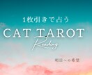 猫タロットで心を整え、自分を取り戻します 初心者歓迎✴︎摂食障害経験者が寄り添う癒しの猫タロット イメージ3