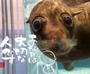 子育てのお悩みお聞きします 子育ては、教科書通りにいくわけないだってみんな違うから イメージ1