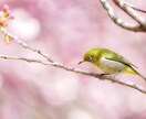 貴方の4月の運気みます ☆自分の来月の運気を事前にキャッチしましょう☆ イメージ1